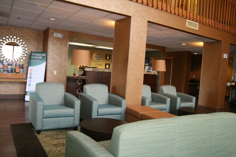 Comfort Inn Pine Grove I-81 Hershey Area Exterior foto